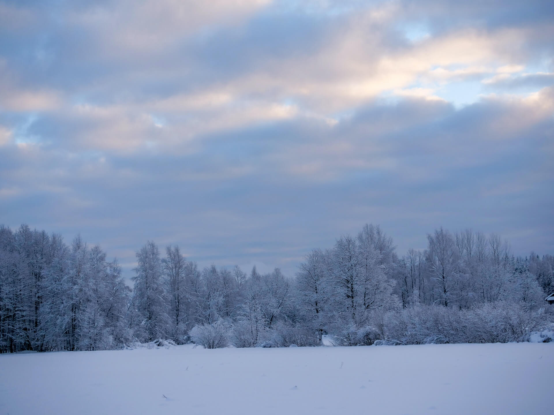 banner hrdiny